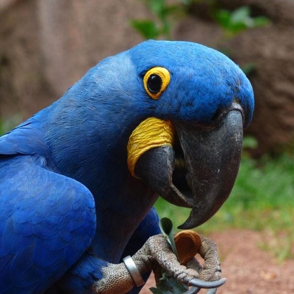 Meet your Posher, Jade - Picture 1 of 1